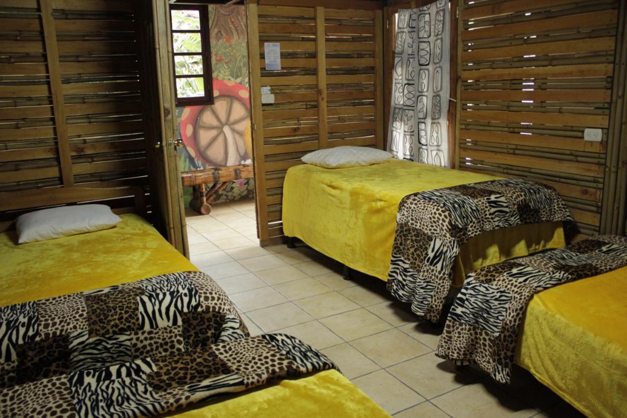 Hostal Casa Buho Antigua Exterior foto